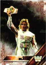 2016 Topps WWE #50 Alundra Blayze