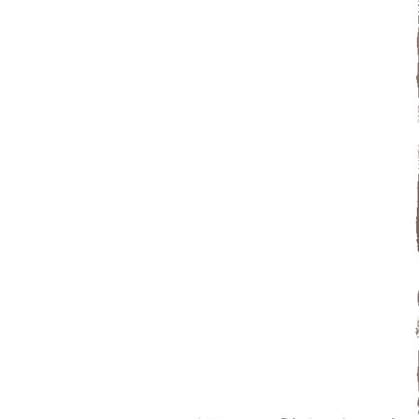 Cotton Brown Textured Fabric