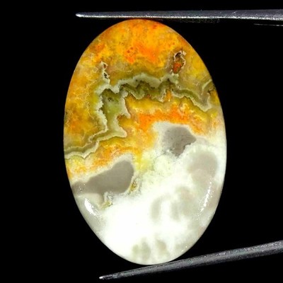 20,30 Cts Natürlicher Bumble Bee Jasper Ovaler Cabochon Lose Edelstein