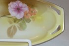 antique R.S. Tillowitz Silesia hand-painted porcelain rectangle dish flowers — photo 2