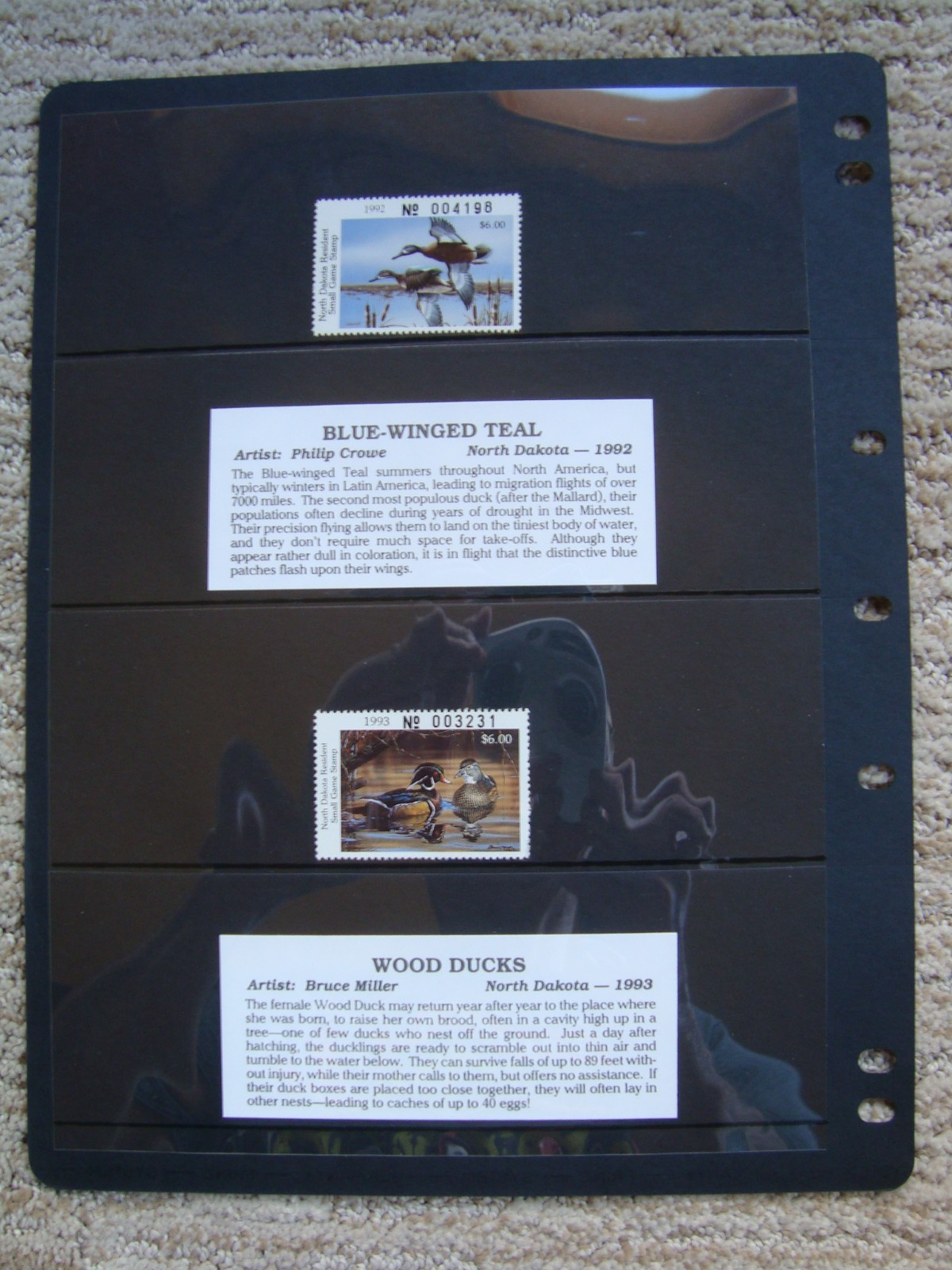 Picture 16 of 24