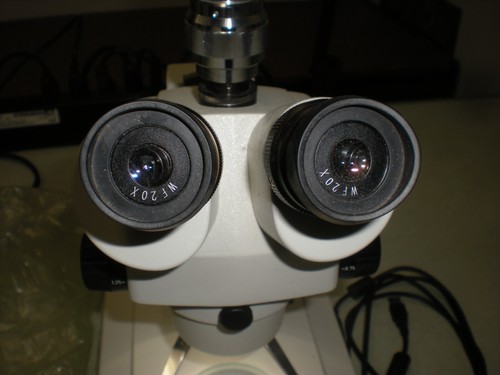 VWR XTL-V VistaVision Zoom Stereomikroskop mit Trinokularkörper auf Omano Stativ - Bild 2 von 16