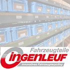 ingenleuf-automobile 99,2% de votos positivos