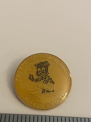 California Hawaii Elks Major Project Lapel Pin P7