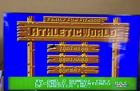 Athletic World Family Fun Fitness NES Rare Variant Rough Box Tested 