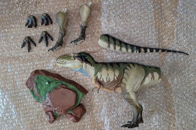   SHIPPING - (DEFECTIVE TAIL) BOTM Albertosaurus - Box & Extras Included