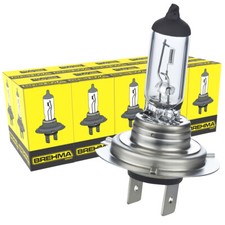 10x BREHMA H18 12V 65W Birnen Lampen Autolampe Birne Lampe PY26d-1 Classic