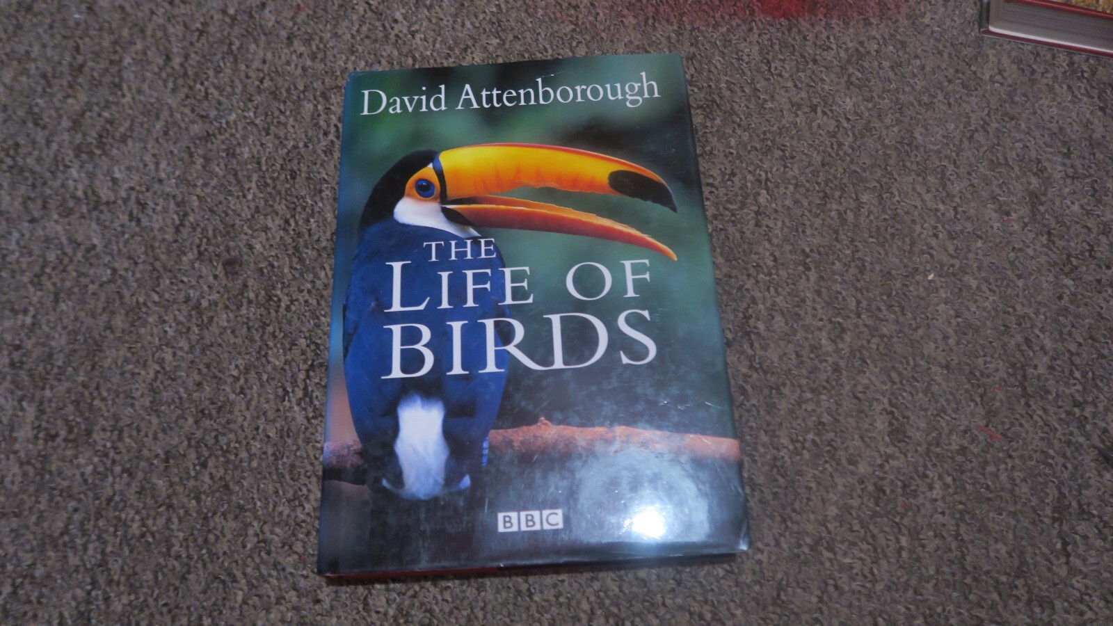 The Life of Birds By David Attenborough