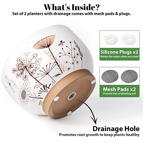 YBX 8 Inch + 6 Inch White&Terracotta Flower Pots, Succulent Ceramic