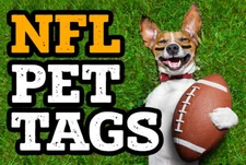 NFL PET ID TAGS - FOOTBALL ID TAGS FOR DOGS / CATS - VARIOUS TEAMS