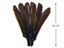 6 Pieces - Brown Turkey Pointer Primary Wing Quill Feather Halloween ...