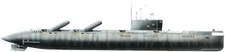 1/350 Iron Shipwright 4298 -Russian Project 675MK  NATO code: ECHO II Submarine