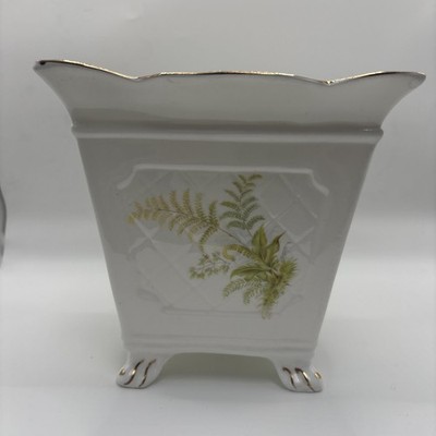 St. George Fine Bone China England kleiner Übertopf mit Füßen Topf Farne Korbgeflecht