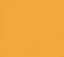 50 BRIGHT ORANGE 24 LB PRINTER PAPER INVITATION SCHOOL PROJECT POSTER HALLOWEEN