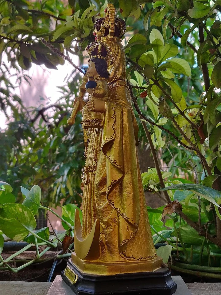 Poliresina Regalo Cristiano Nuestra Señora de la Salud Velankanni Estatua de Nuestra Madre María Foto 3 de 4
