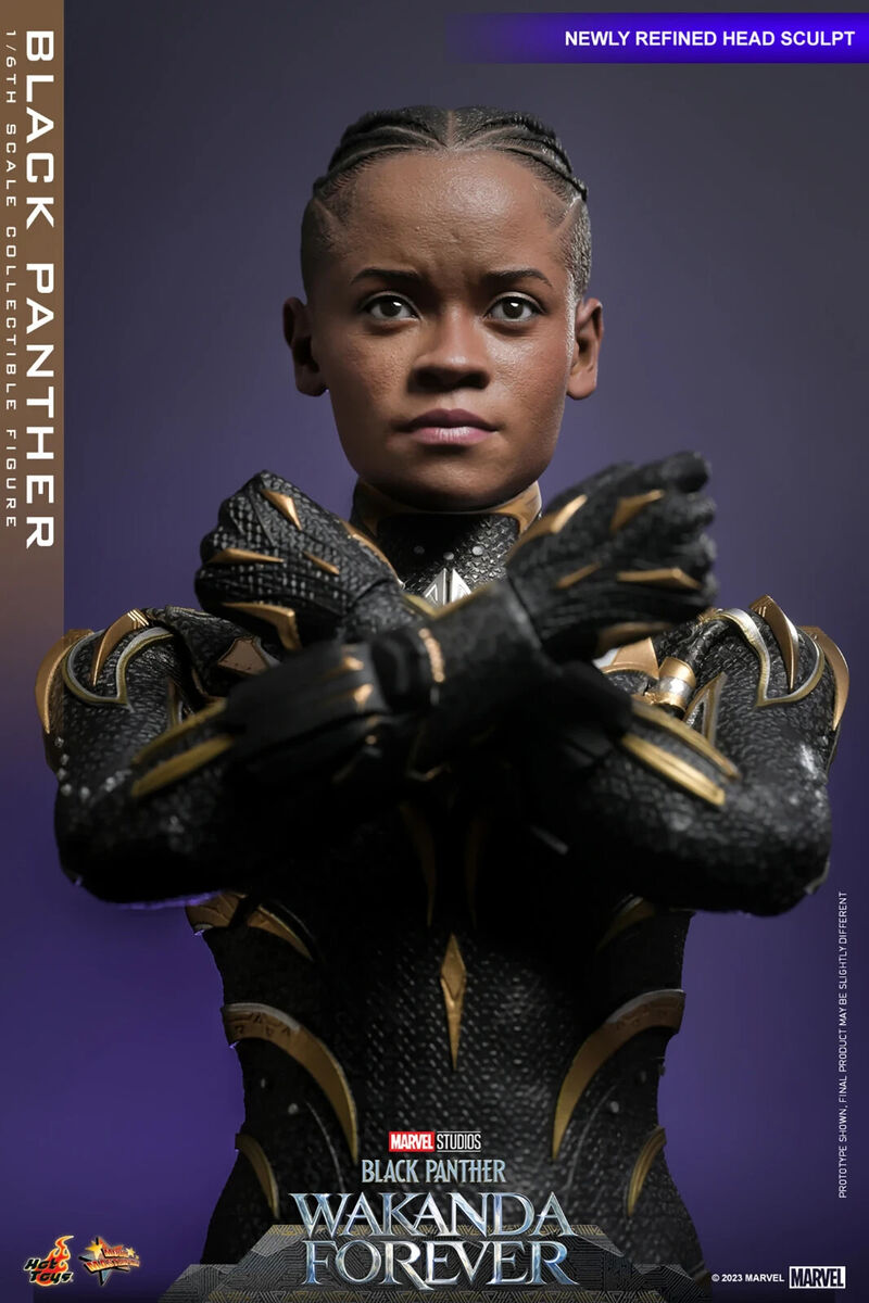 Hot toys MMS675 1/6 Black Panther - Black Panther: Wakanda Hot toys MMS675 1/6 Black Panther - Black Panther: Wakanda