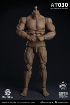 1/6 Worldbox AT030 Durable Body-ripped Body Male Figure fit Hot Toys Phicen Head