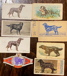 Vintage Dog Paper Collectibles - Flat Coated Retriever