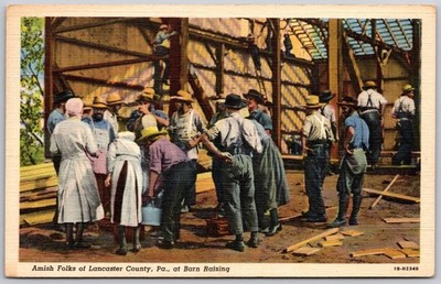 Vintage Amish Folks Lancaster County PA Barn Raising Postcard 1944