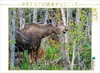 Calvendo Puzzle Fresh Food | 1000 Pieces, Finished Size 25.2 × 18.9 In (64 × 48