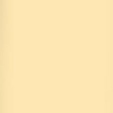 Lee Filters Sun Color Straw 24x21" Gel Filter Sheet