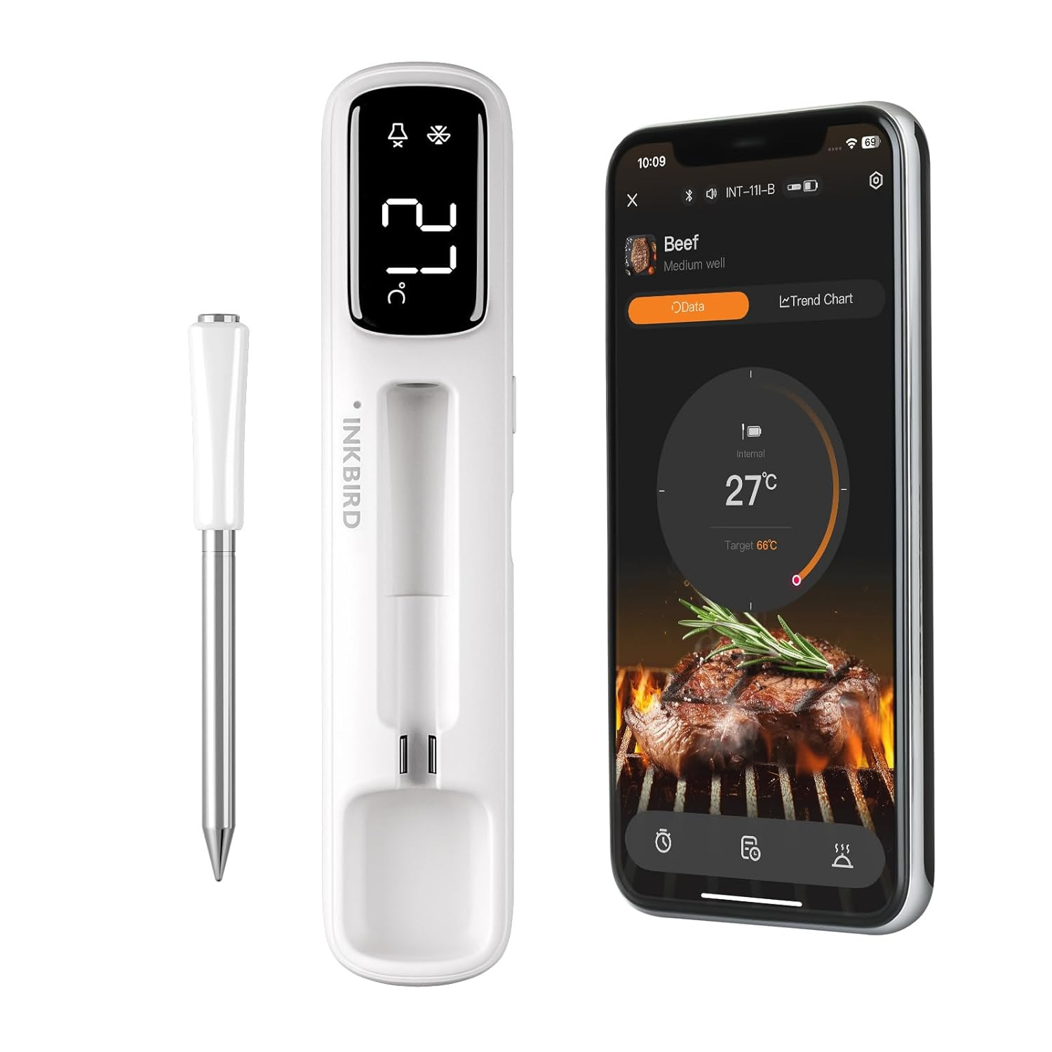 Termometro Carne Professionale Senza Fili - Bluetooth 5.4 Lunga Portata