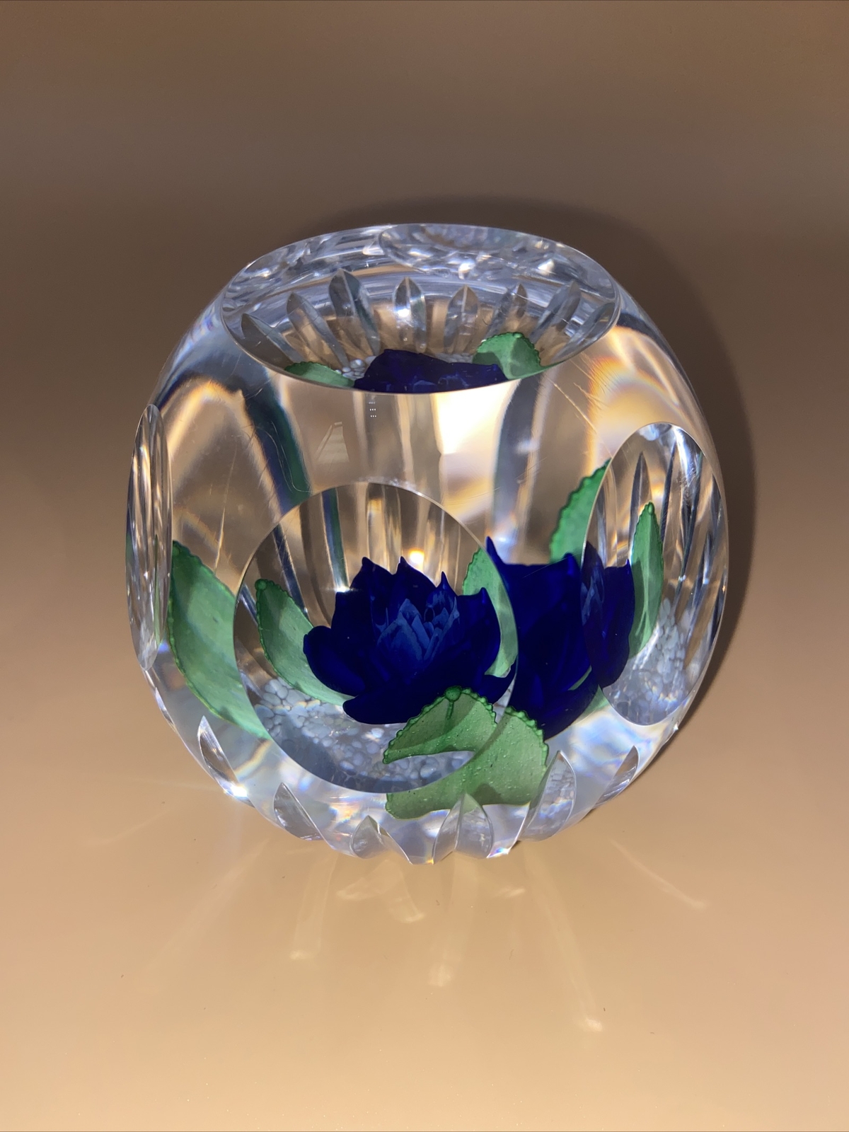 Caithness Glass Paperweight Hot House Collection Blue Heaven 13/100 eBay
