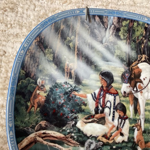 NATIVE AMERICAN COLLECTOR PLATE DIANA STANLEY THE HEALER VISIONS OF THE SACRED - Picture 7 of 8