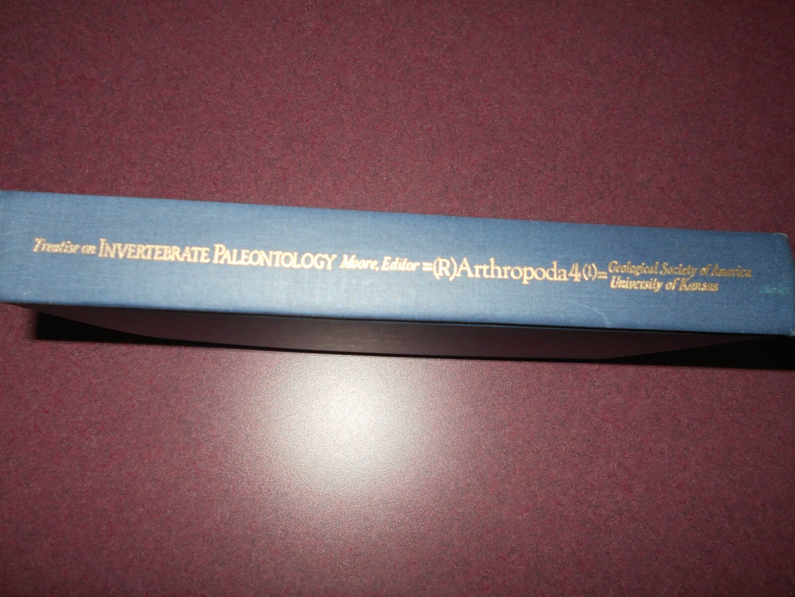 Picture 9 of 9