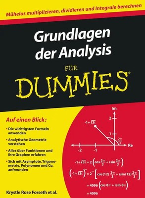 Grundlagen der Analysis für Dummies | Krystle Rose Forseth (u. a.) | Deutsch