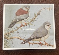 Shearwater - Thieves - CD - EP - 2005 - Digipak - fast free post from UK
