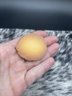 Foto 16 di 24