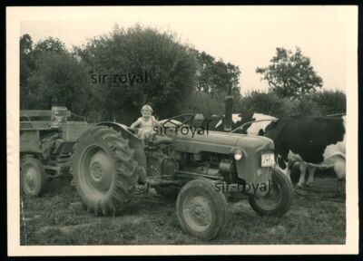 Bentfeld Delbrück 1964 - Tractor Tractor Tractor - 1960s - Photo 10x7cm