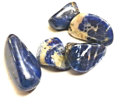 5 Sodalite Crystal  Tumbled stones 10-25mm Wholesale Therapists Reiki Chakra  - Picture 1 of 1
