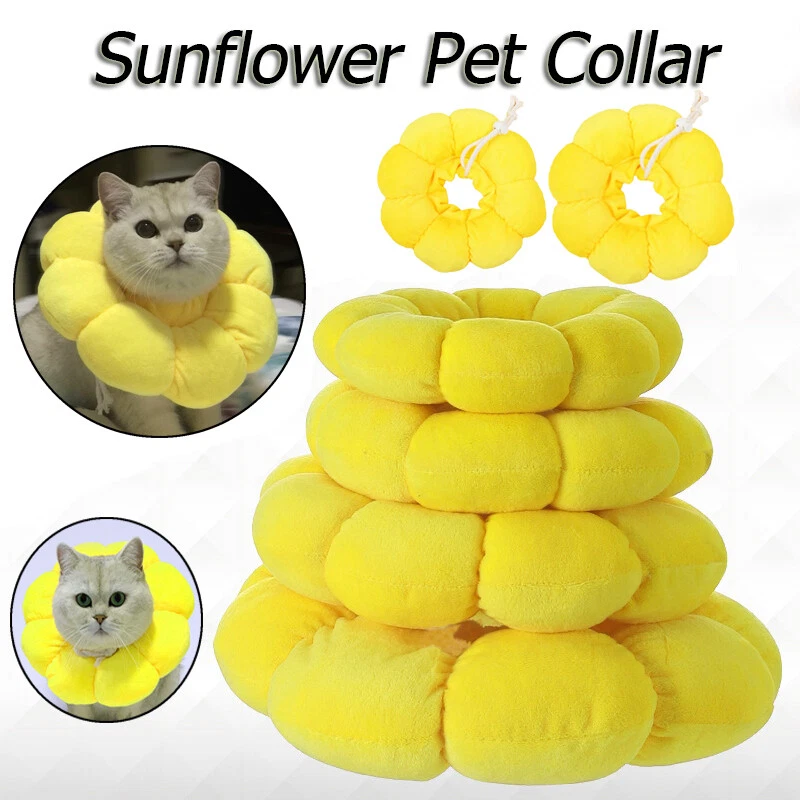 Sunflower Shaped Wound Healing Protection Cat Recovery Collar