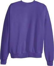Hanes Men's Ecosmart Long Sleeve Fleece Sweatshirt, Purple Size XL