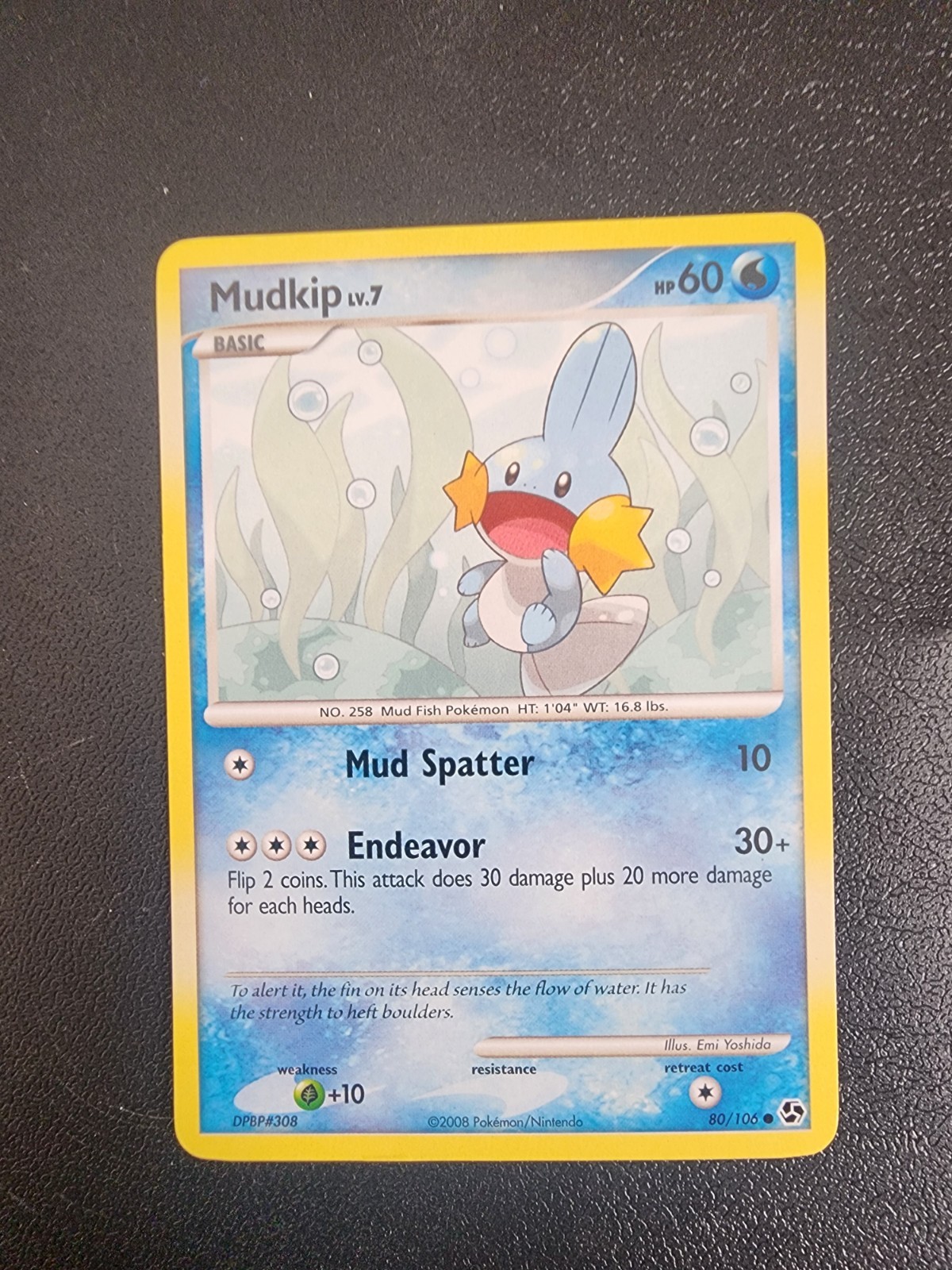 Pokémon TCG Mudkip 80/100