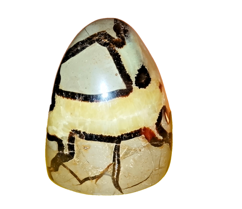 Septarie Freiform 951 g