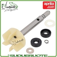 Kit Wasserpumpe ÜBerholung FüR Aprilia Leonardo 125 150 Scarabeo 200 Rotax Motor