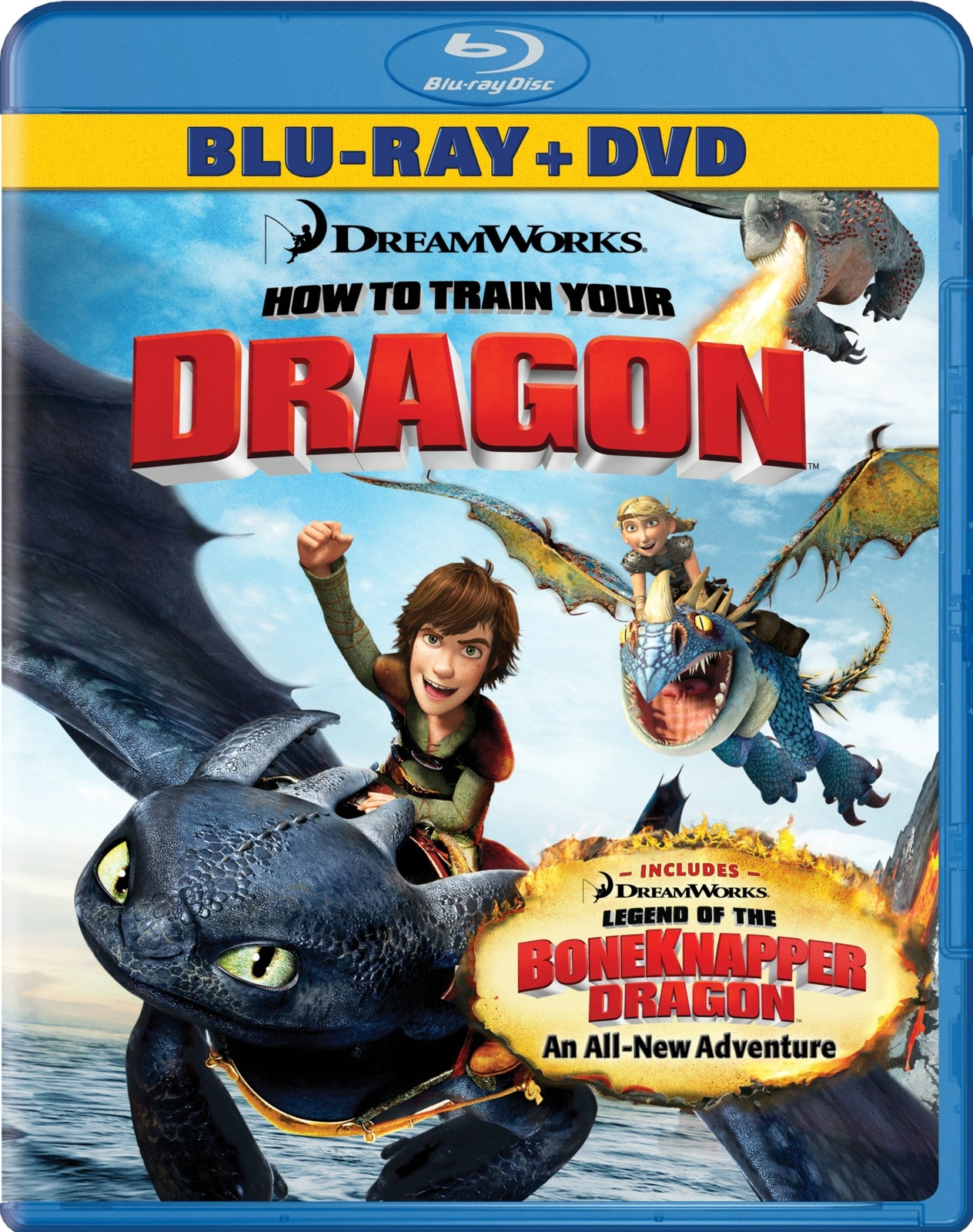 How to Train Your Dragon (Blu-ray)