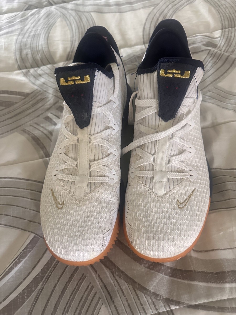 White Team Lebron Shoes Team Lebron Shoes