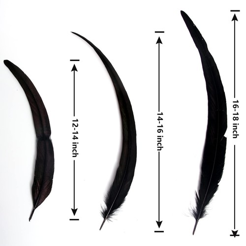 50Pcs Rooster Coque Tail Feathers Bulk Natural 12-14Inch 30-35Cm for Crafting We - Picture 6 of 7