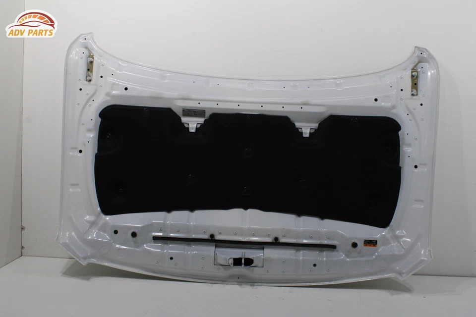 Nissan Titan 2017-2024 capó capó carcasa cubierta panel OEM Foto 2 de 4