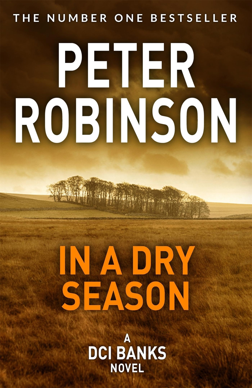 Thumbnail - Peter Robinson | In A Dry Season | Taschenbuch | Englisch (2020) | Pan