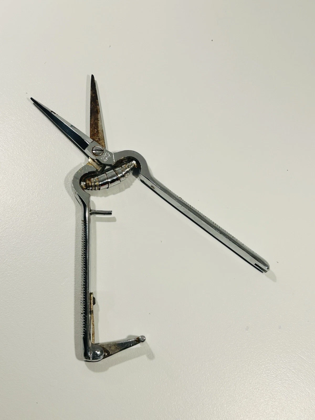 Vintage Japanese Poultry Shears Spring Hinge Kitchen Scissors
