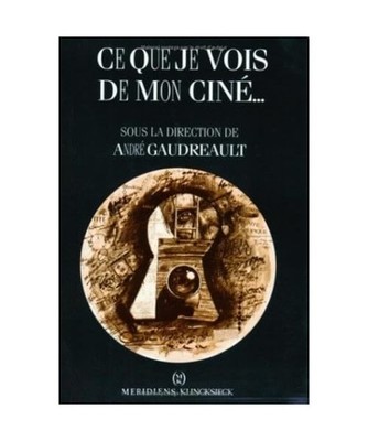 Ce Que Je Vois de Mon Cine: .. La Representation Du Regard Dans Le Cinema Des Pr