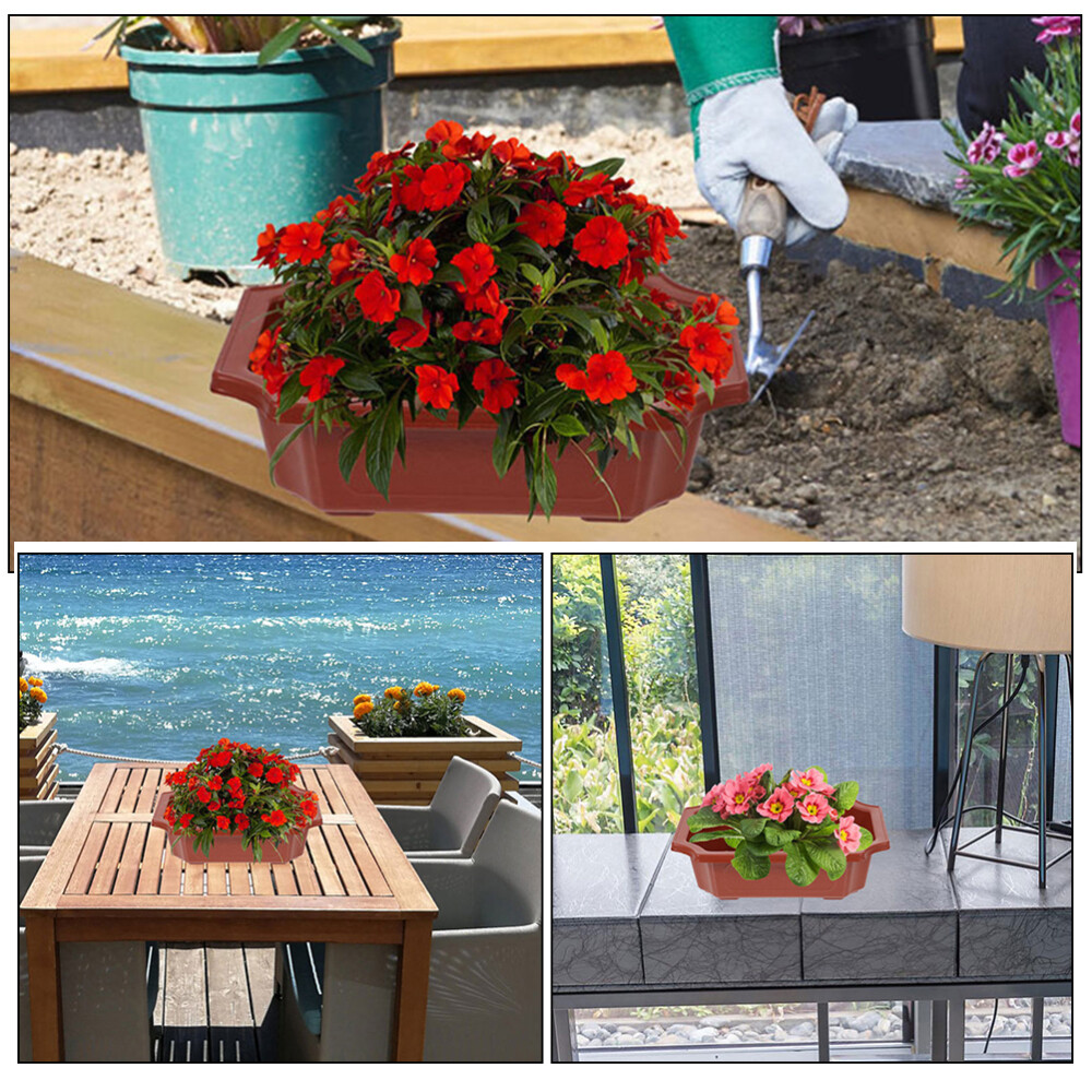 Bild 10 von 11