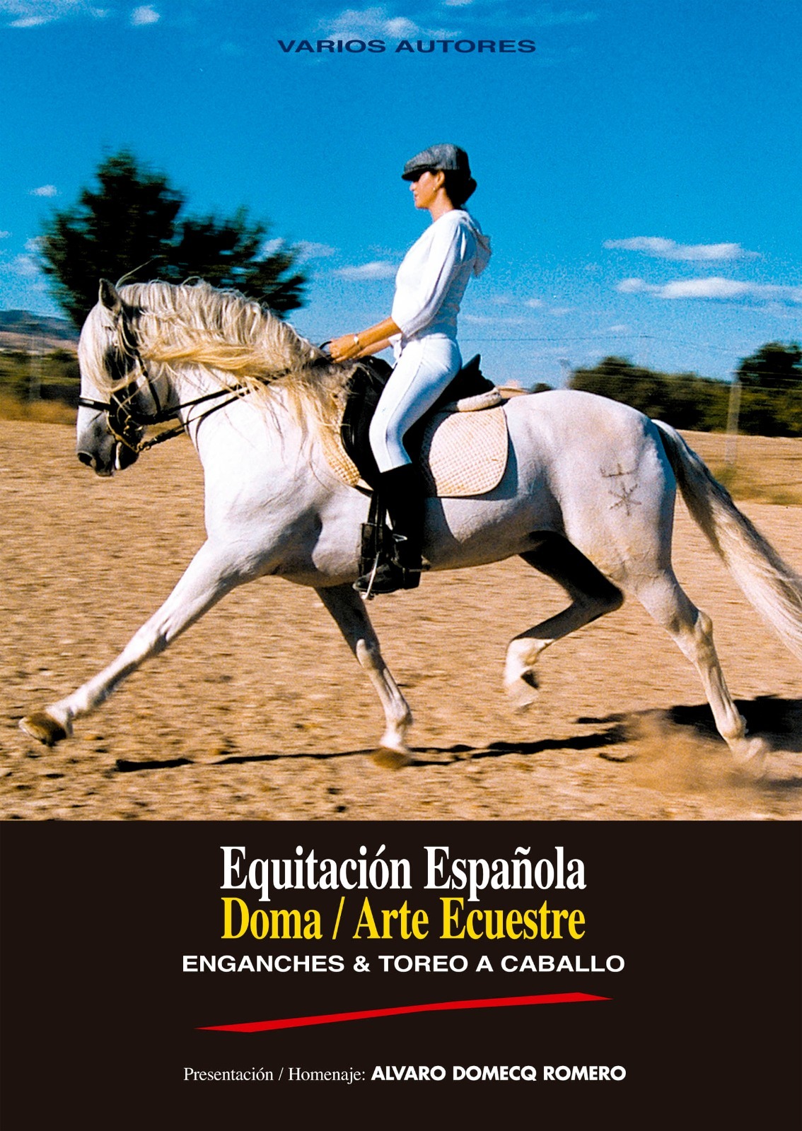 Imagen 1 de 1