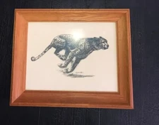 Vintage Art Etchings Drawing Cheetah  Framed D.  Schwartz