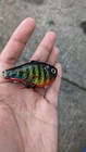 Bild 2 von 6